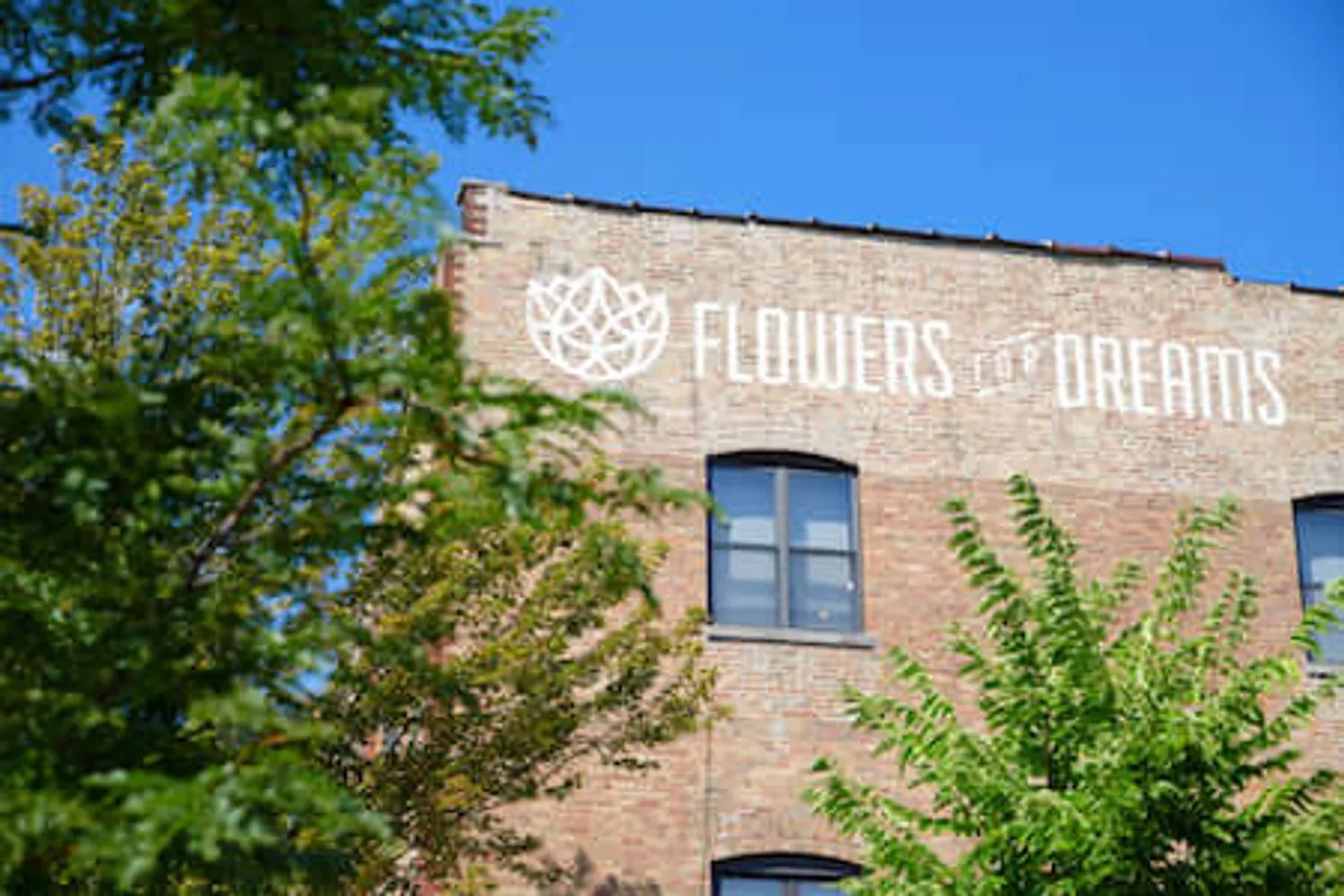 Florists in Chicago, Illinois